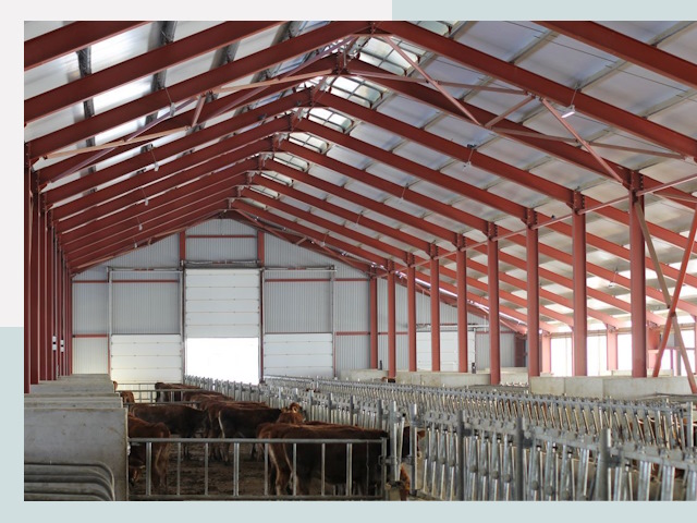 Строительство коровников в Рославле