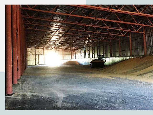 Строительство зернохранилищ в Рославле