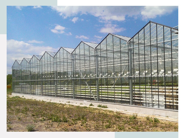 Строительство теплиц в Рославль от 617 руб. за м²